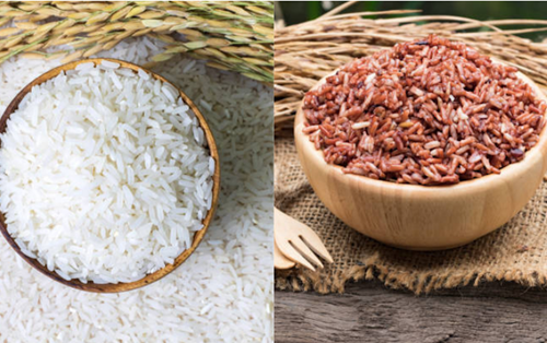 1 chén cơm bao nhiêu calo? Ăn cơm có mập không và cách ăn giúp giảm cân!