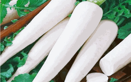 Củ cải: món ăn có vị thuốc