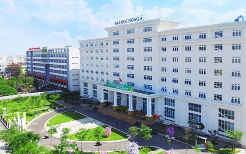 Lợi thế khi xét tuyển bằng học bạ, đặc biệt tại Đại học Đông Á Đà Nẵng