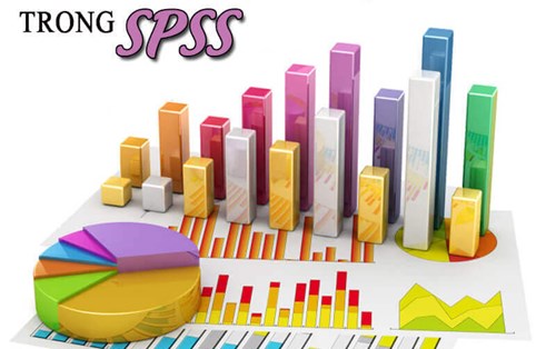 Cách nhập số liệu vào phần mềm SPSS