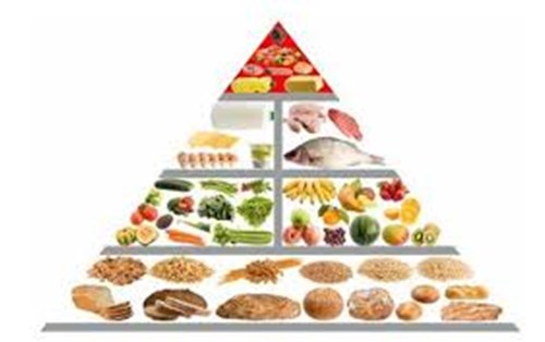 Hội nghị khoa học tại trường Đại học Đông Á: Dinh dưỡng, thực phẩm với sức khỏe và phòng bệnh