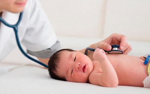  Vai trò quan trọng của Dinh dưỡng 