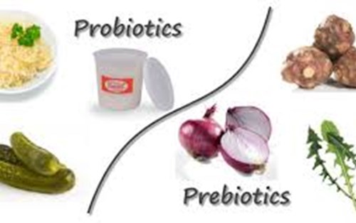 Probiotics và prebiotics 